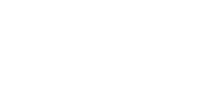 Logo Bridor Make production