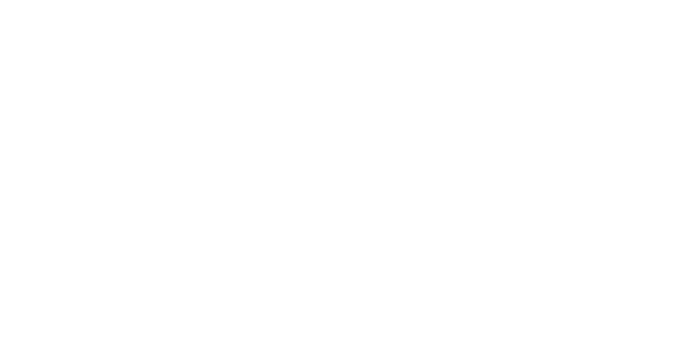Logo Bridor CESSON HANDBALL -production