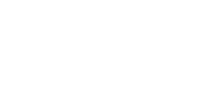 Logo FELIX - Make production