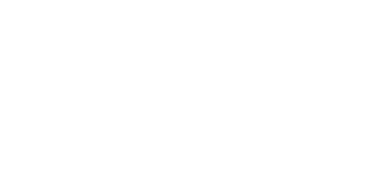 Logo NAMI- Make production